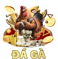 Báo cáo chi tiết