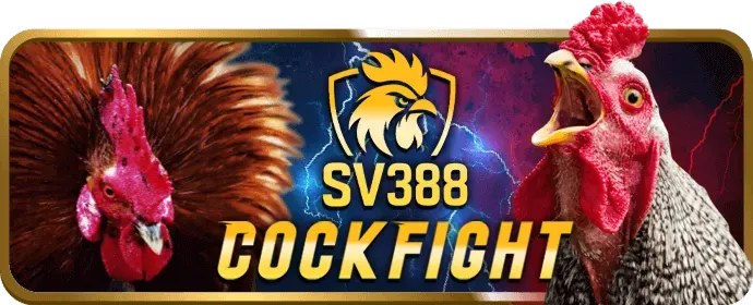 Cá cược có trách nhiệm 28win bet